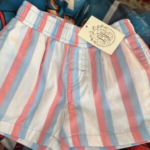 Striped Pink and Blue Shorts